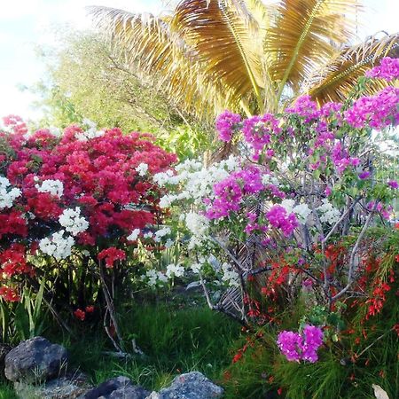 The Lodge - Antigua English Harbour Exterior foto